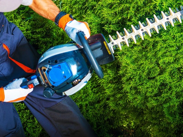 Garden Clean up Pakuranga, Hedge & Tree Trimming, Lawnmowing and more. Eastern Property Services