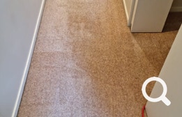Carpet Cleaning, Eastern Property Services is East Auckland’s premier professional property service agency