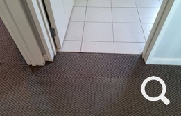 Carpet Cleaning, Eastern Property Services is East Auckland’s premier professional property service agency
