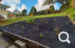 Garden Clean up, Eastern Property Services is East Auckland’s premier professional property service agency