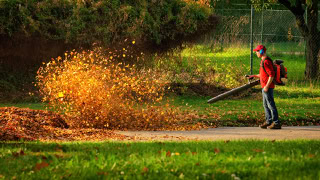Garden Clean up Botany, Hedge & Tree Trimming, Lawnmowing and more. Eastern Property Services