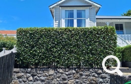 Garden Clean up, Eastern Property Services is East Auckland’s premier professional property service agency